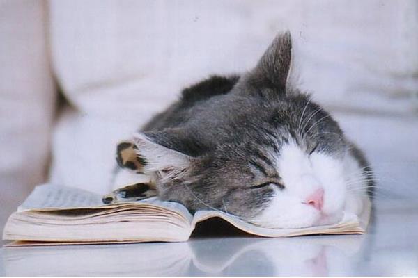 秋季養生保健要點與方法 秋季養生小知識