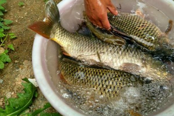 秋季養生保健要點與方法 秋季養生小知識