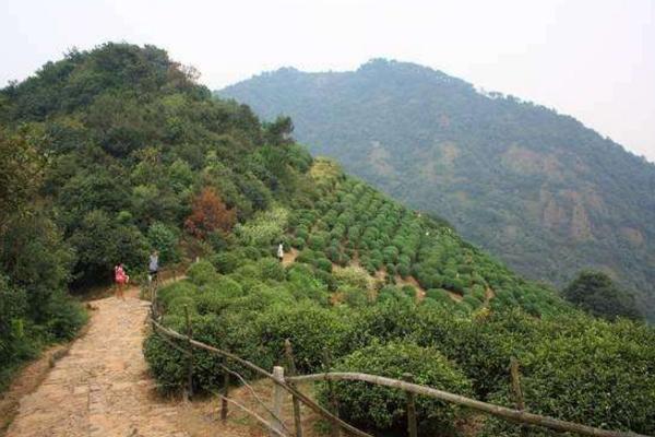 國內清明適合旅游的地方有哪些 清明節哪里好玩