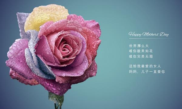 母親節送媽媽什么禮物好 母親節祝福語 送母親什么花