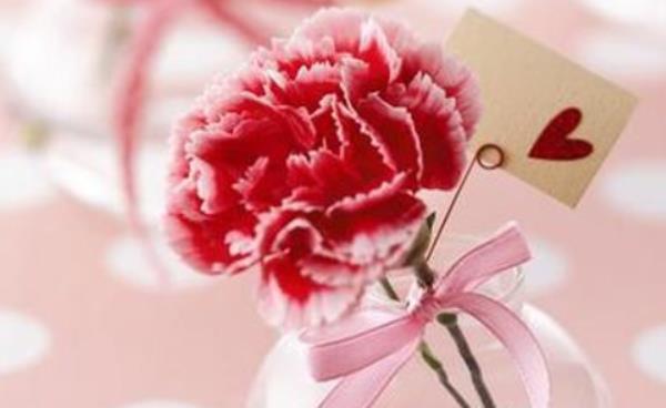 母親節送媽媽什么禮物好 母親節祝福語 送母親什么花
