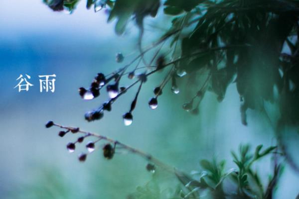 谷雨吃什么 谷雨有哪些習俗