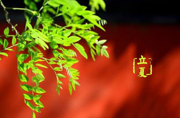 什么時候立夏（幾月） 立夏的習俗有哪些