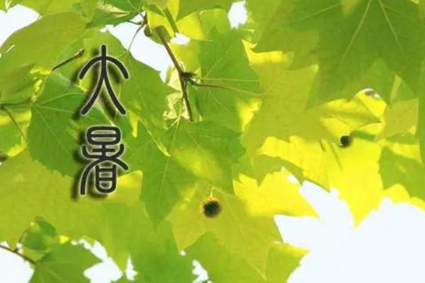大暑是什么時候（幾月） 大暑的由來 大暑有哪些習俗