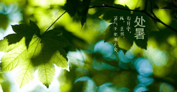處暑是什么意思 處暑的習俗和由來