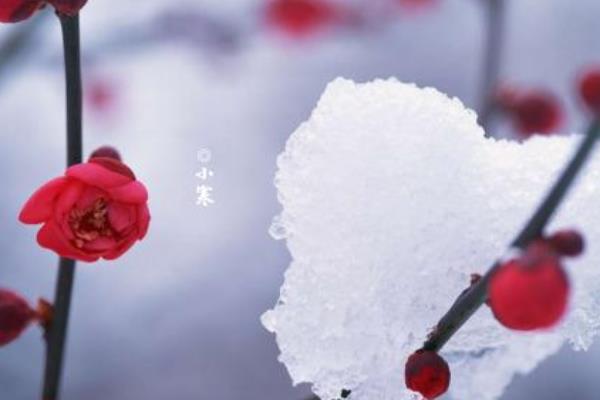 小寒節氣一般是幾月 小寒習俗以及小寒的由來
