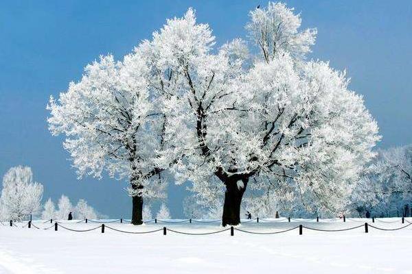 立冬一般是什么時候（幾月） 立冬要吃什么