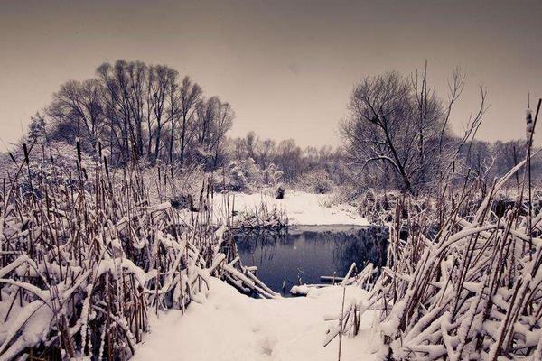 立冬一般是什么時候（幾月） 立冬要吃什么