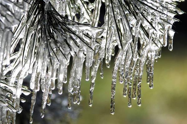 立冬一般是什么時候（幾月） 立冬要吃什么