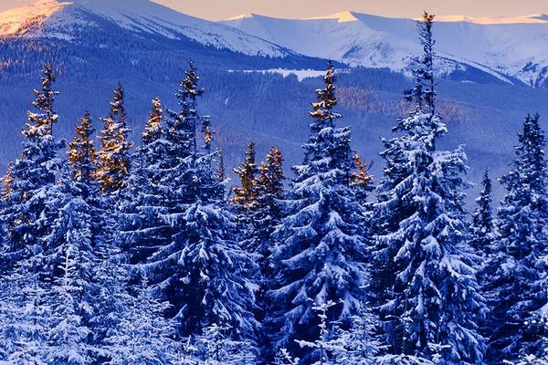 大寒吃什么養生 大寒要注意什么