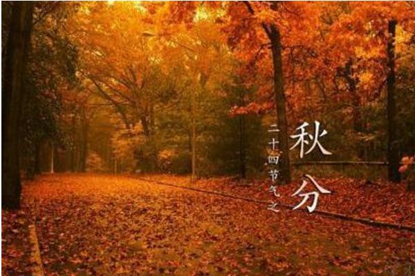 秋分節氣如何養生 秋分習俗以及白露節氣的由來