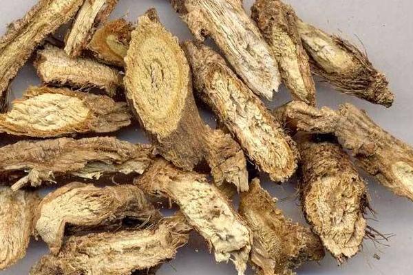 中藥防風圖片大全 防風簡介