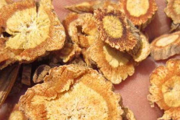 中藥防風圖片大全 防風簡介