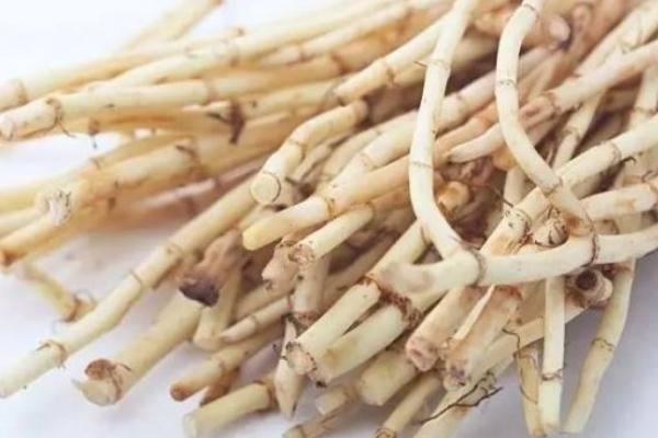 魚腥草怎么吃 魚腥草的做法