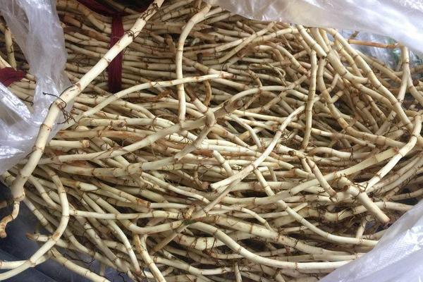 魚腥草怎么吃 魚腥草的做法