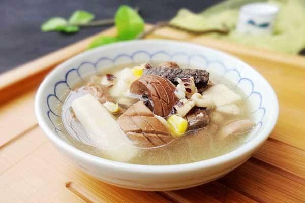 杜仲豬腰湯的功效與作用 杜仲豬腰湯的做法