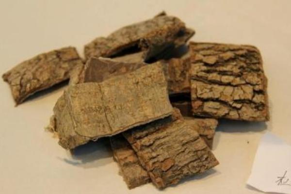 杜仲怎么吃補腎 杜仲配什么補腎最好