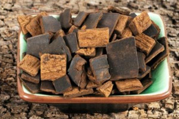 杜仲圖片大全 杜仲是什么樣子