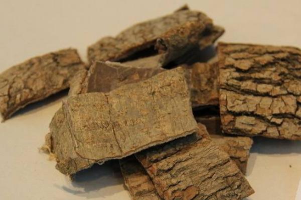 杜仲的功效與作用及禁忌 杜仲和什么泡酒好