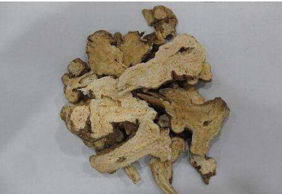 白術的功效與作用及禁忌 白術炮制方法