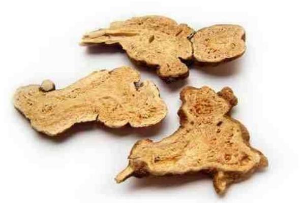 白術的功效與作用及禁忌 白術炮制方法