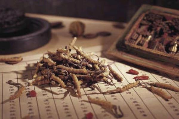 冬蟲夏草市場價格多少錢一克 冬蟲夏草的鑒別方法