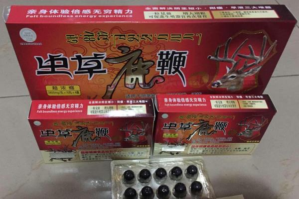 蟲草鹿鞭王市場價格多少錢一盒 蟲草鹿鞭王功效與作用