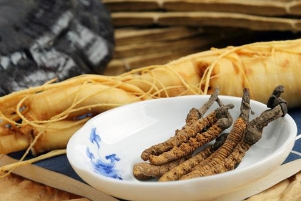 冬蟲夏草怎么吃 冬蟲夏草副作用