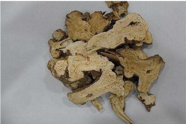 白術圖片大全 白術是什么