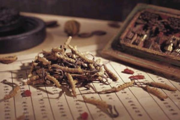 冬蟲夏草怎么吃 冬蟲夏草副作用