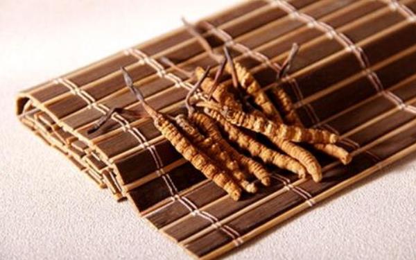 冬蟲夏草怎么吃 冬蟲夏草副作用