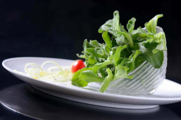 非洲冰草市場價格多少錢一斤 非洲冰草的繁殖方法