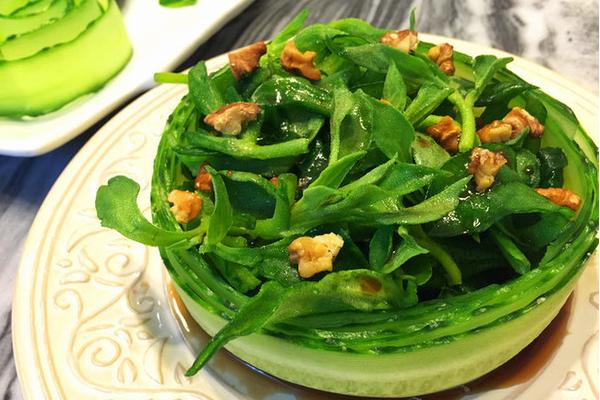 非洲冰草市場價格多少錢一斤 非洲冰草的繁殖方法