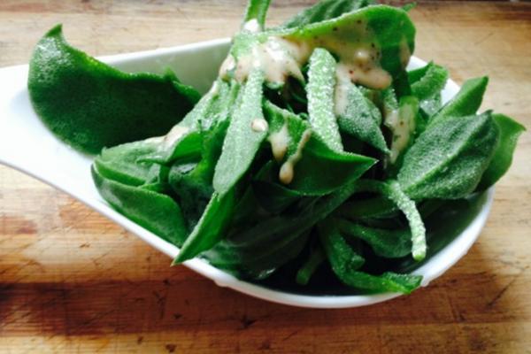 非洲冰草市場價格多少錢一斤 非洲冰草的繁殖方法