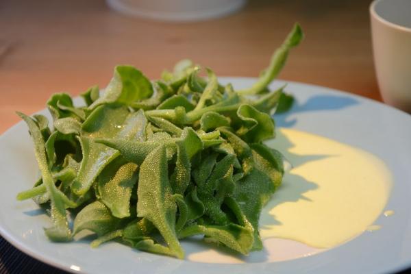 非洲冰草的營(yíng)養(yǎng)價(jià)值 非洲冰草功效與作用及禁忌