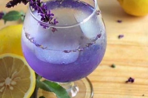 薰衣草茶是涼性的嗎 孕婦可以喝薰衣草茶嗎