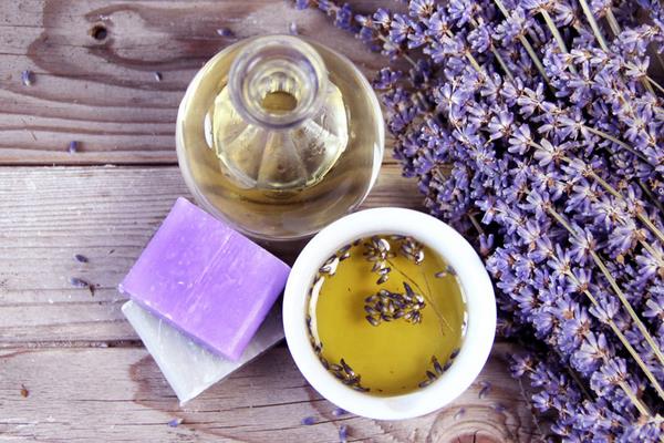 薰衣草茶是涼性的嗎 孕婦可以喝薰衣草茶嗎