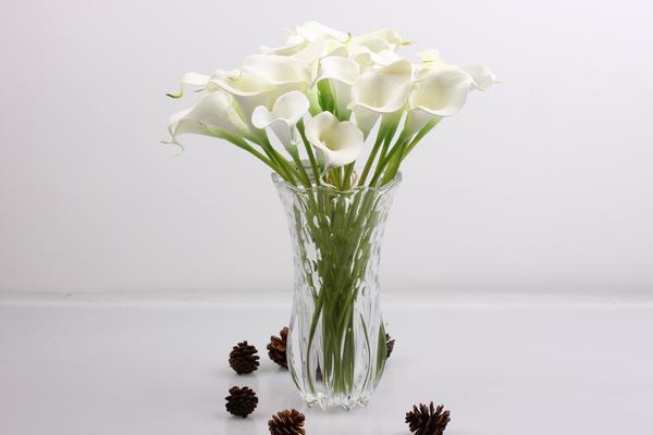 馬蹄蓮市場價格多少錢一束 馬蹄蓮的品種及特征