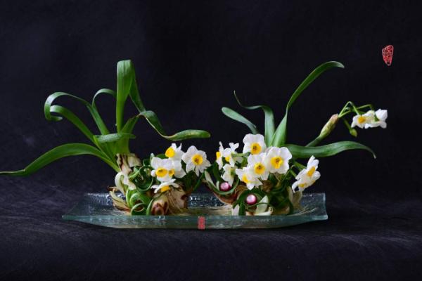 水仙花什么時候開（幾月） 水仙花開花后怎么處理