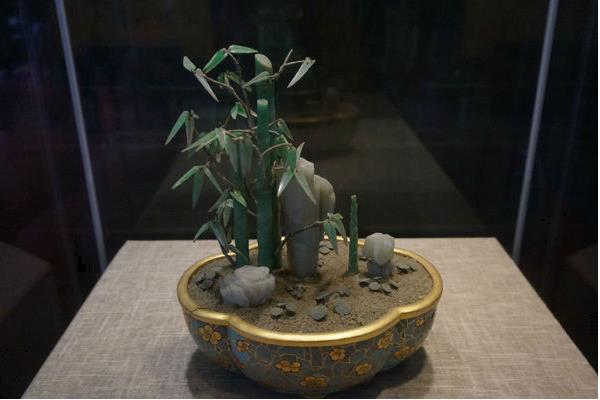 富貴竹怎么水養(用什么水養) 家庭水培富貴竹的養殖方法與技巧