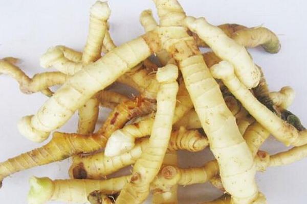 玉竹的功效與作用及禁忌 玉竹怎么吃才好