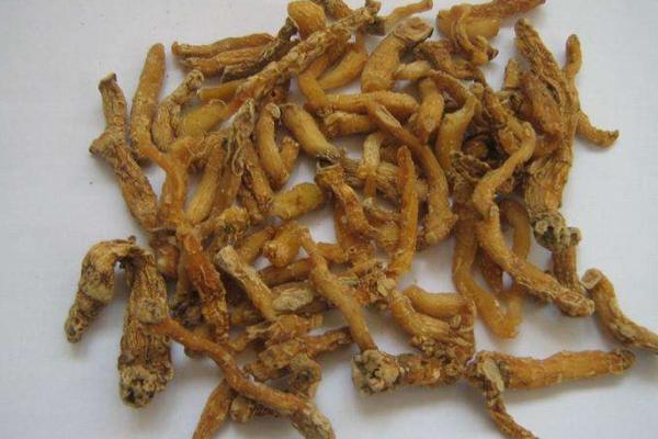 玉竹的功效與作用及禁忌 玉竹怎么吃才好