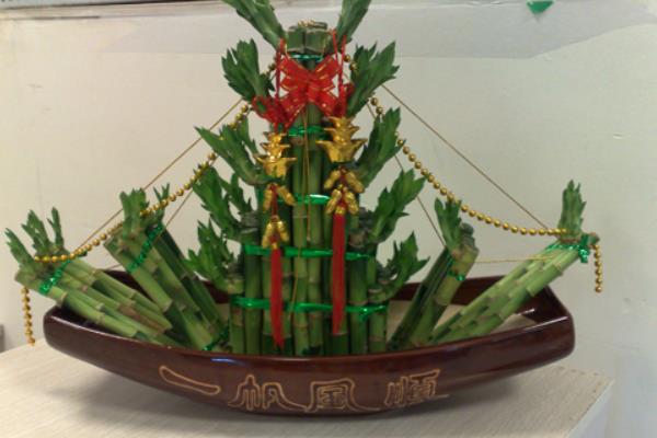 富貴竹和發財竹的區別是什么 富貴竹的生長習性