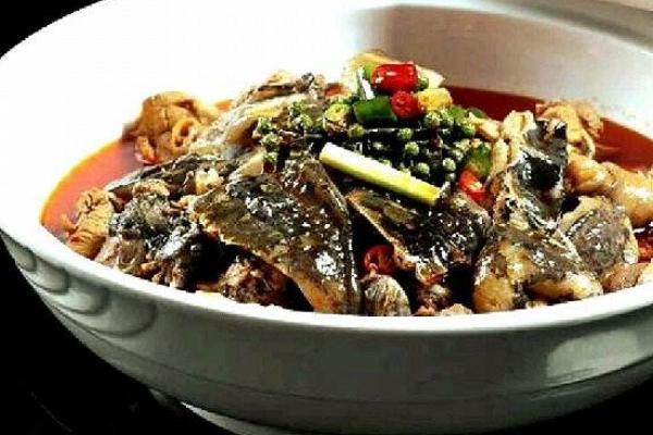 燒甲魚做法大全 燒甲魚配什么好吃 哪些人不能吃甲魚