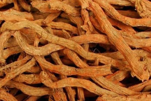 丹參和黨參的區(qū)別是什么 丹參的功效和作用