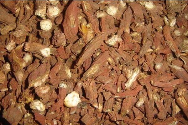 丹參和黨參的區(qū)別是什么 丹參的功效和作用