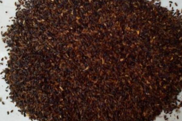 洋桔梗種子市場價格多少錢一斤 桔梗花的養(yǎng)殖方法和注意事項(xiàng)