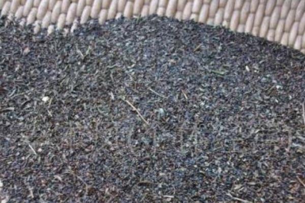 洋桔梗種子市場價格多少錢一斤 桔?；ǖ酿B殖方法和注意事項