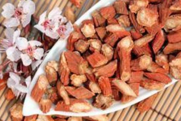 西洋參和丹參的區(qū)別是什么 西洋參和丹參哪個好