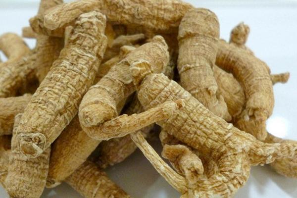 西洋參和丹參的區(qū)別是什么 西洋參和丹參哪個好